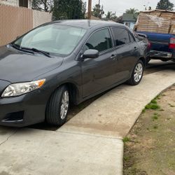 2010 Toyota Corolla