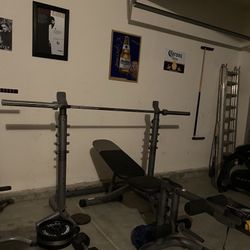 Bench Press With Bar And Weights 