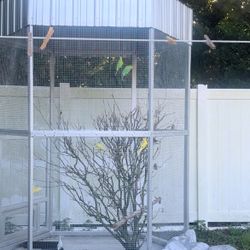 Bird Cage 