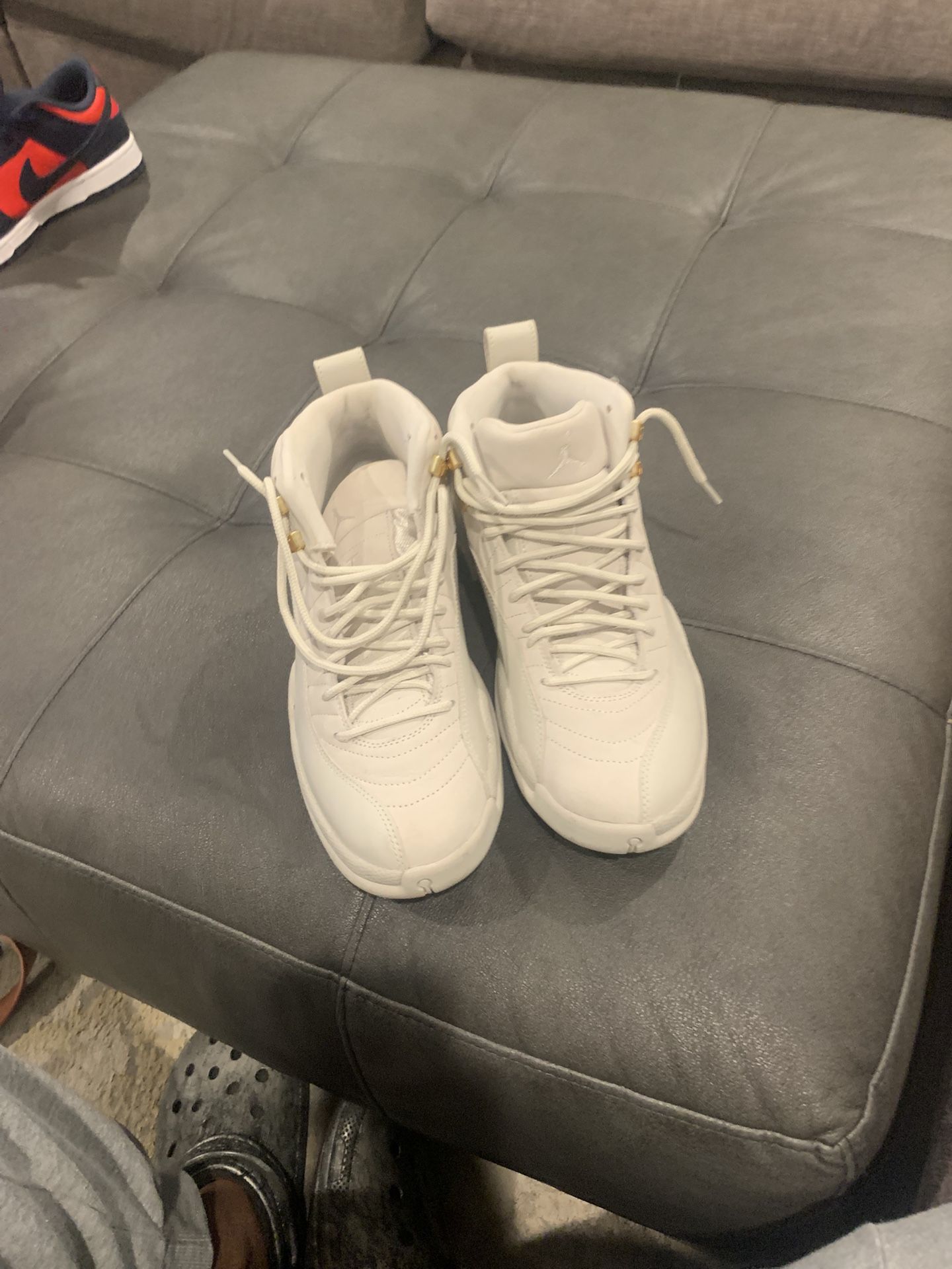 Jordan 12 Phantoms 