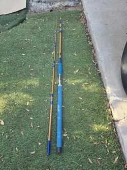 Old Sabre surf spinning rod