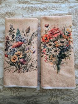 2 Kitchen Towels