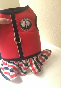 Cute dog dress
