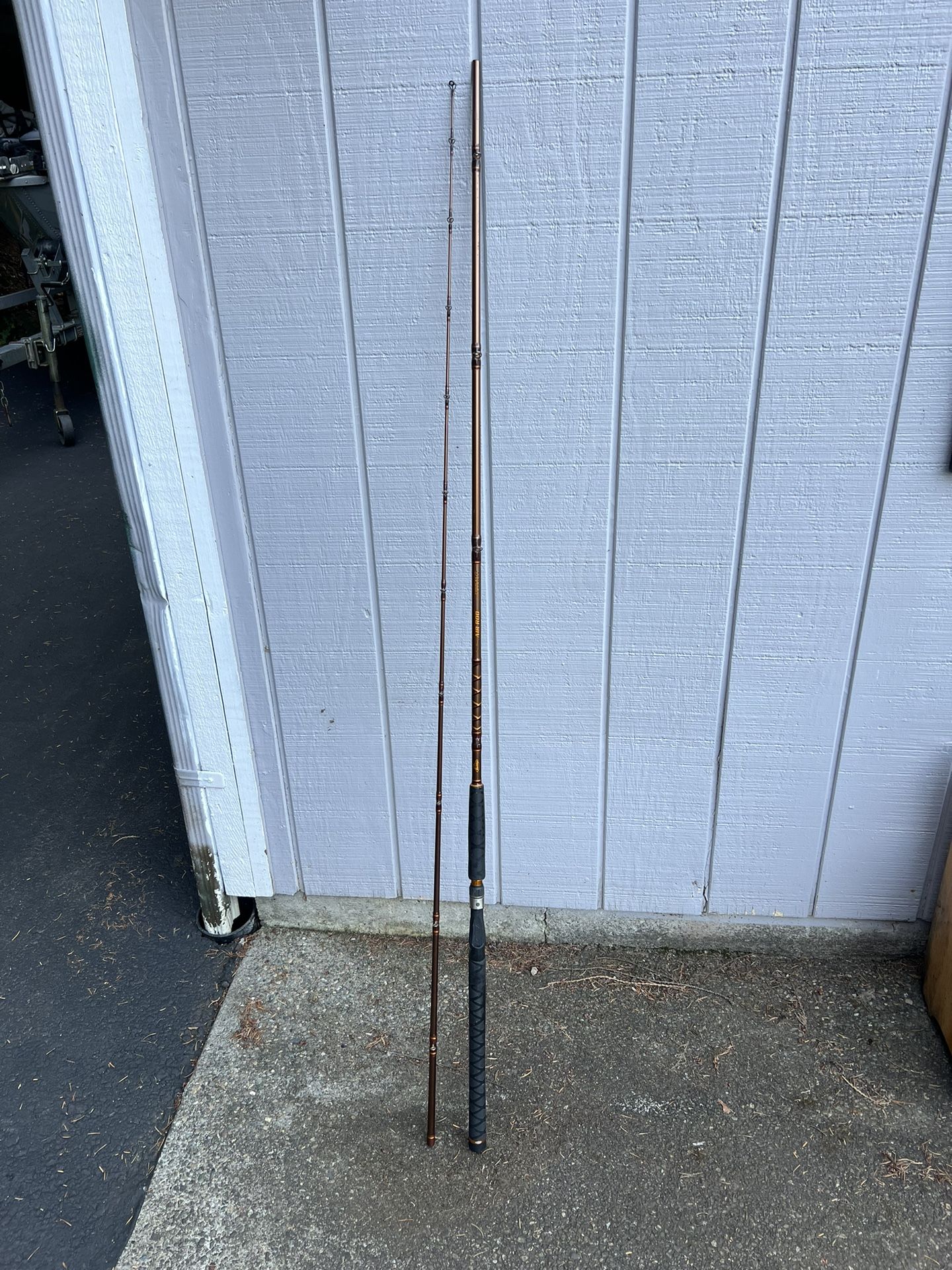 Berkley “Buzz Ramsey” 10’6” Air Rod