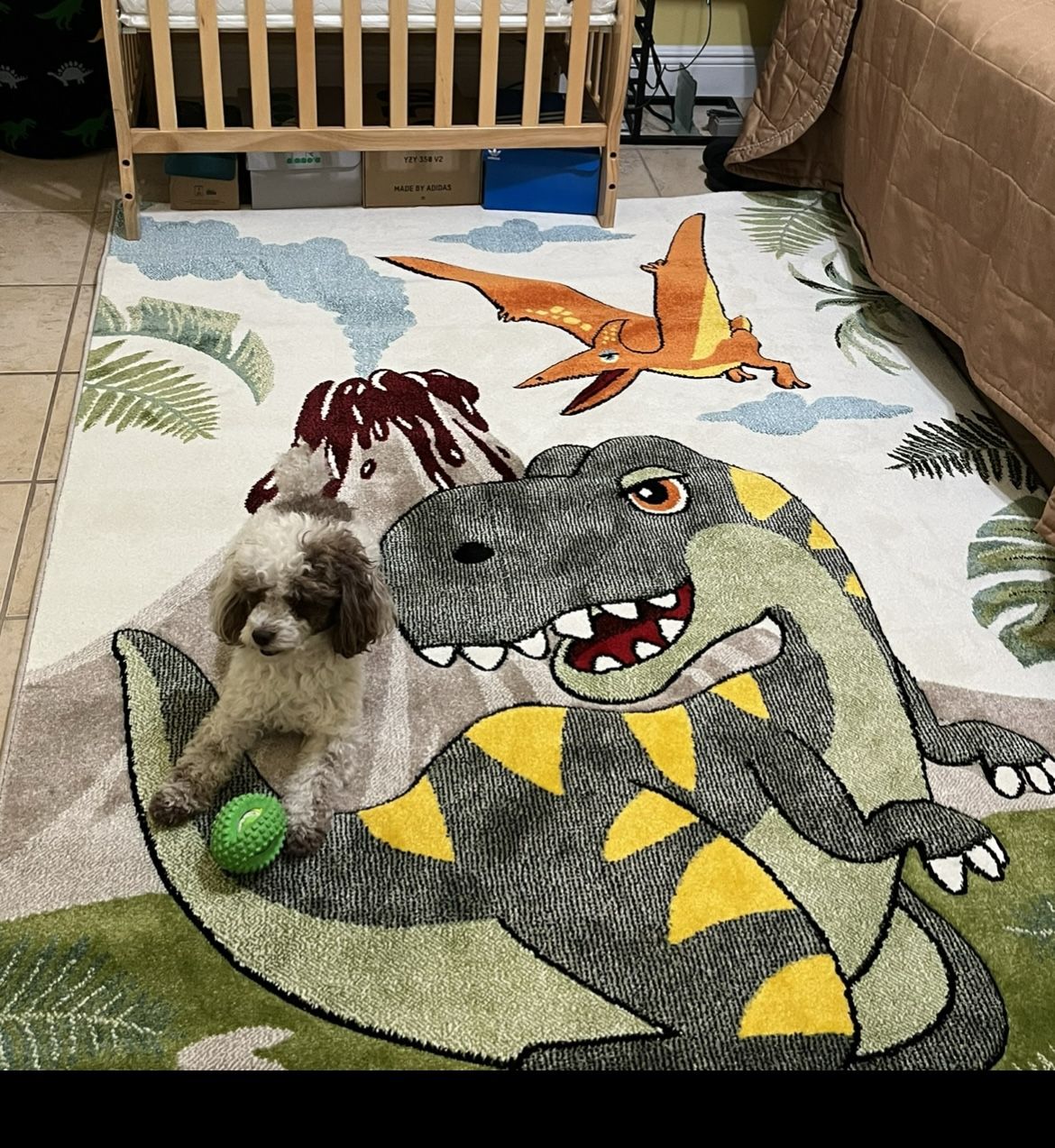 dinosaur rug 