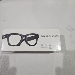 AI smart glasses w/ camera and translation