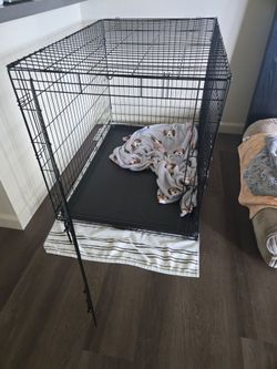 XL Petco Dog Crate