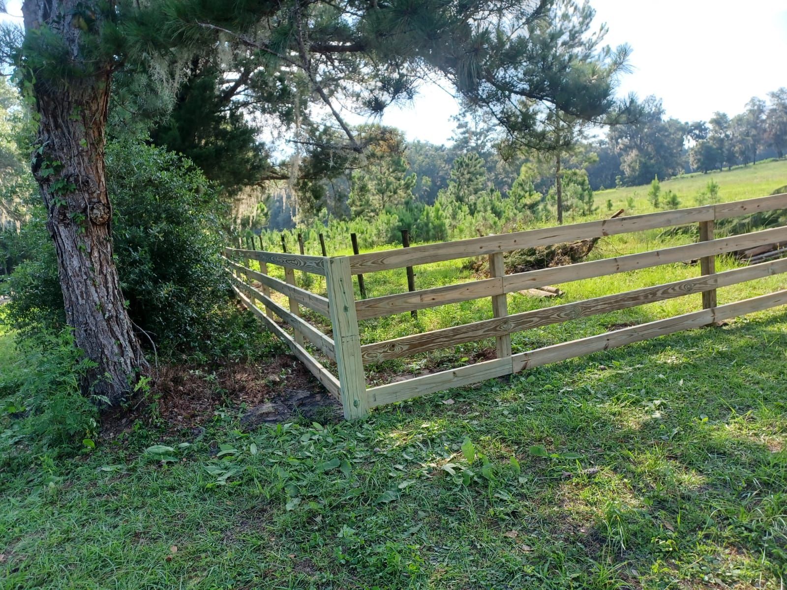 Horse Fence