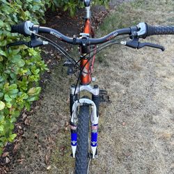 Diamondback Mountain Bike