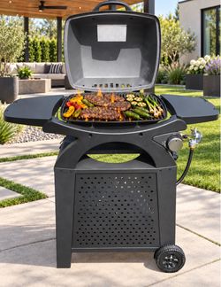 Brand new patio bbq propane