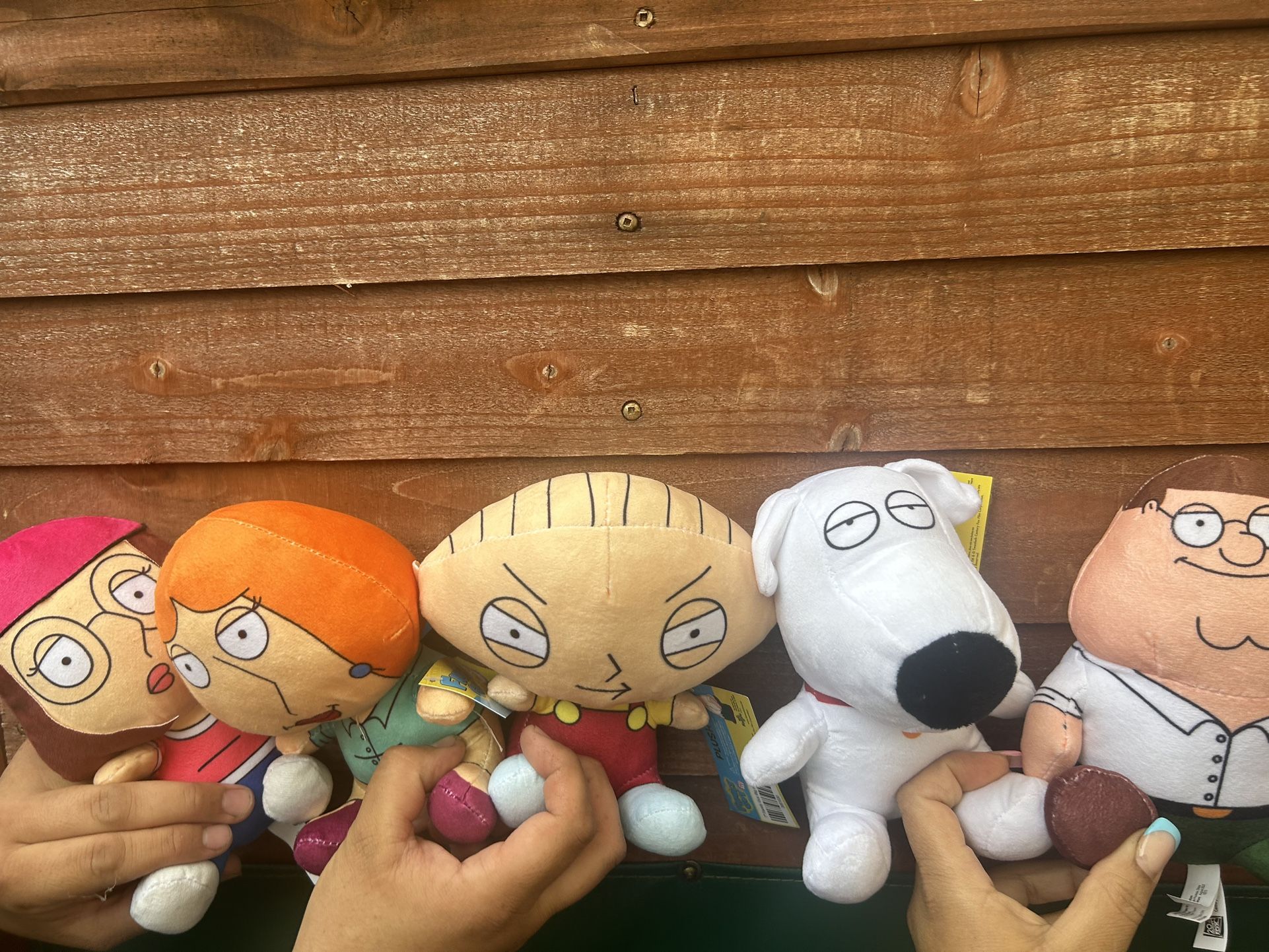 Family Guy Plush Set Peter Griffin, and Meg Griffin, Stewie Griffin, Lois Griffin, Brian Griffin up