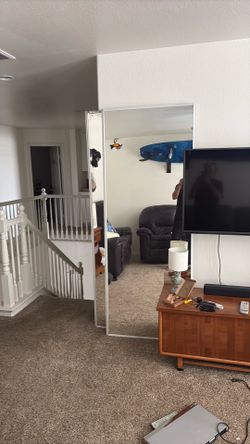 Free closet mirror door