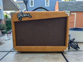 Esteban guitar 🎸 amp