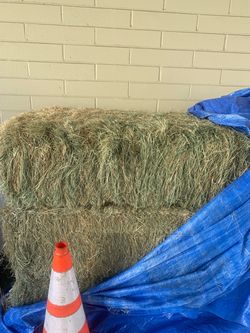 Hay feed bales