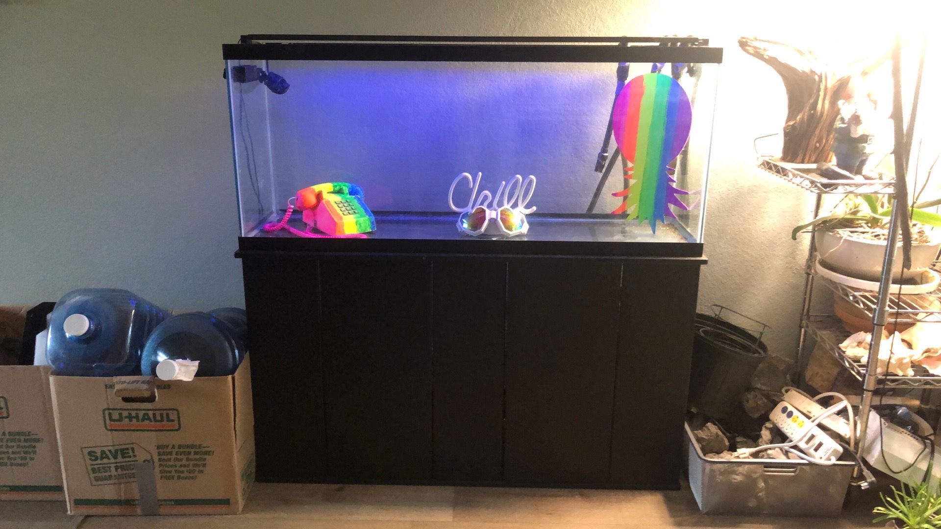 Aquarium