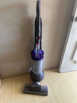 Dyson Ball Animal + Vacuum