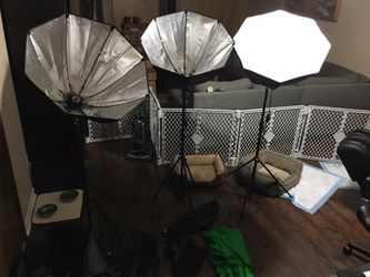 Lane photo pro studio with Lusana Studio green and black screen