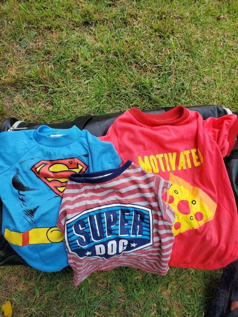 Dog Shirts