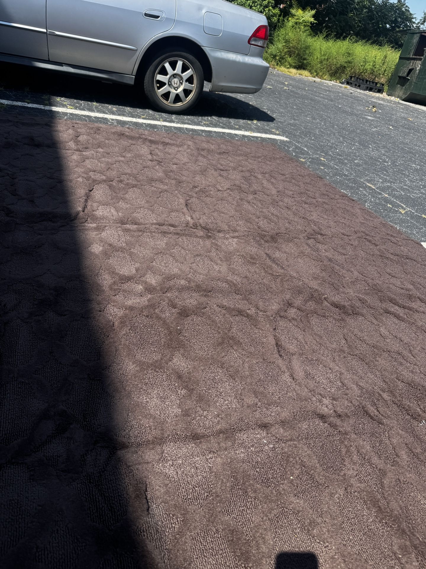 12x12 Area Rug / New/ It Came Into A Pallet