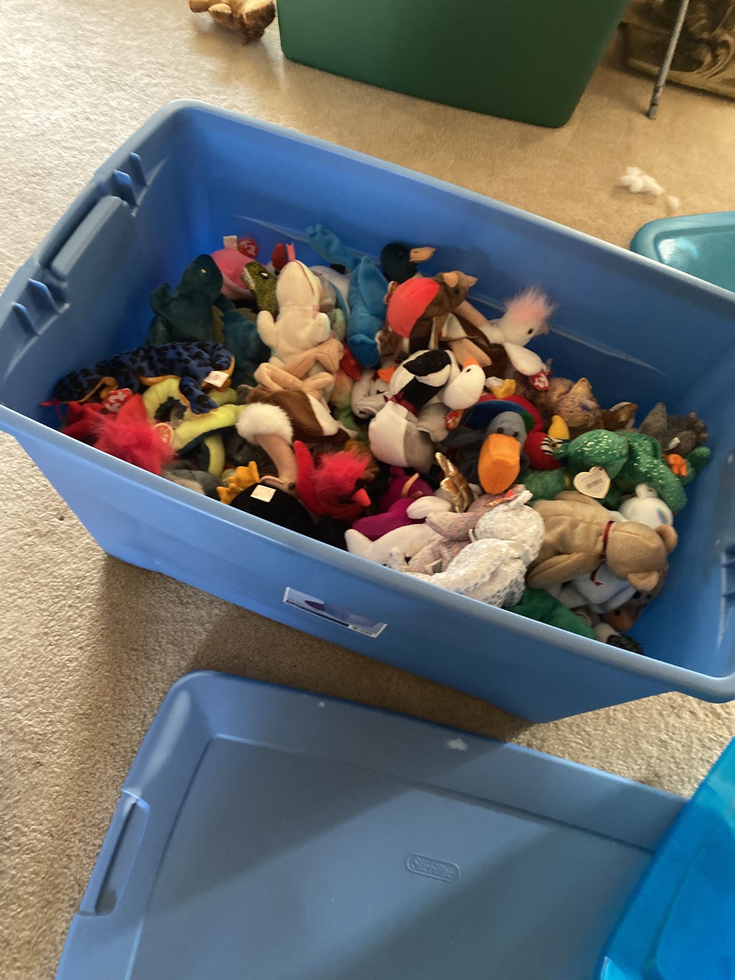Beanie Babies