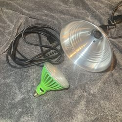 Grow Light & Clamp Lamp