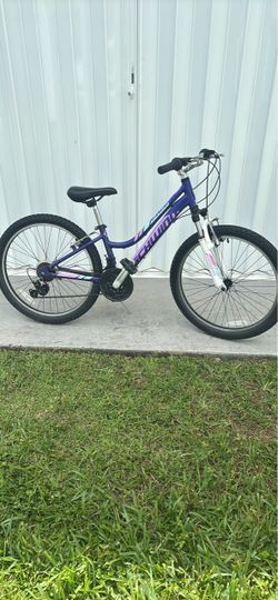 24 inch Schwinn