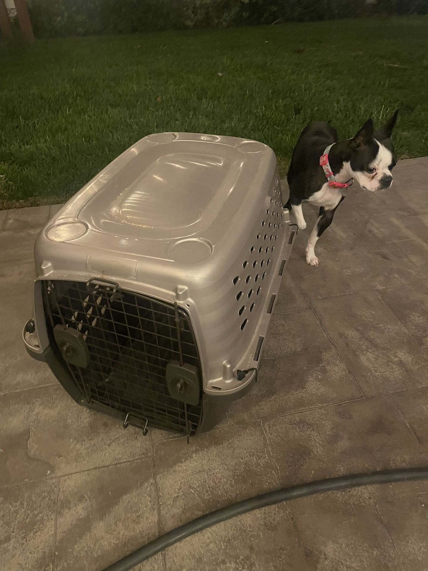 Dog Crate