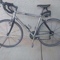 Trek Pilot 2.1 Road Bike, Med-large Frame