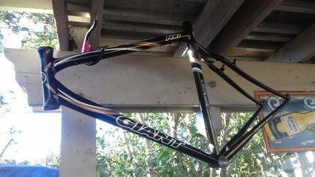 GIANT FRAME BIKE
