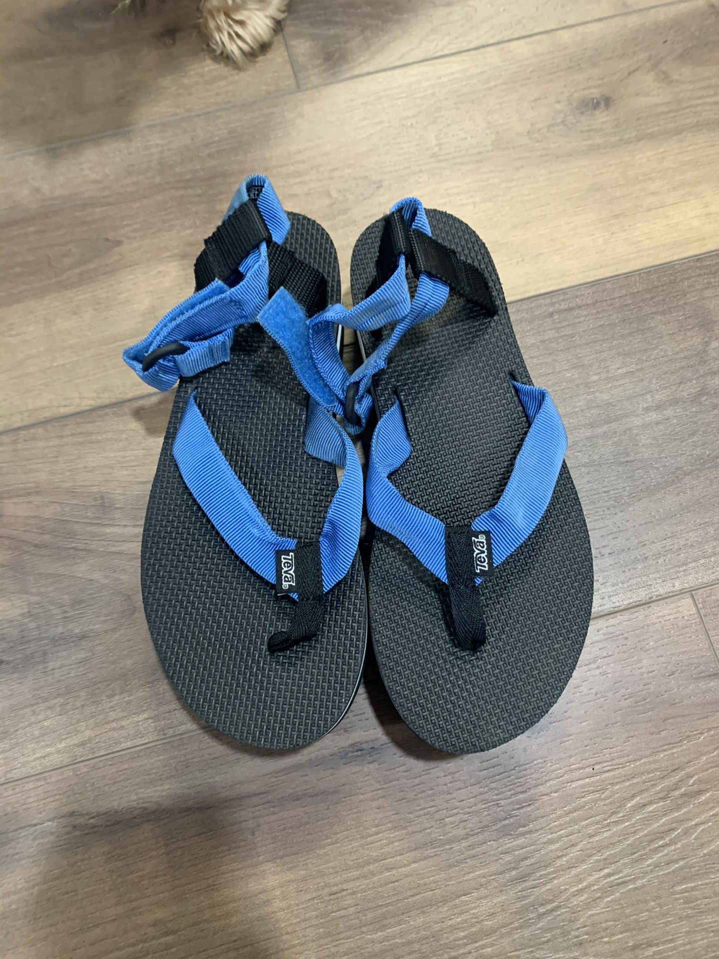 eva Flatform Universal Thong  9 