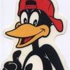 Robert