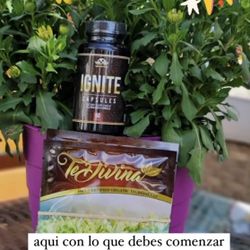 🍄Det🍩x Profundo 