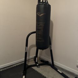 Everlast Boxing Bag