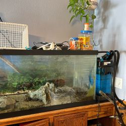 Aquarium with filter, Cage, Lamps