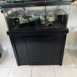 40 Gallon Breeder Tank + Stand And A Axolotl 
