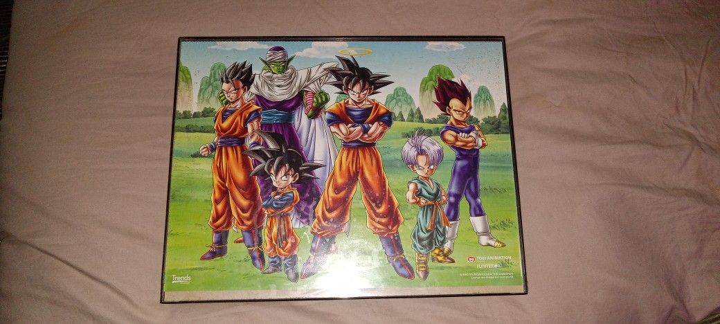 Original 8by10" Anima DragonBall Framed Collectable Pic