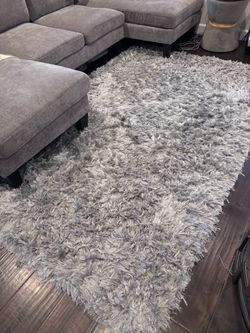 West Elm Glam Shag Rug (5x8)