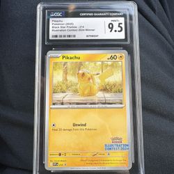 Pikachu Illustration Contest Winner 2024