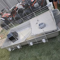 Guinea Pig Cage 