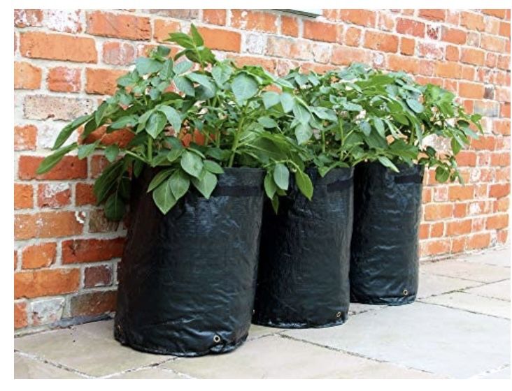 Tierra Garden 50-1040 Haxnicks Potato Patio Planter and Grow Bag, 3-Pack