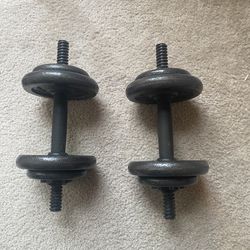 Adjustable Dumbbells  Up To 20 Pounds