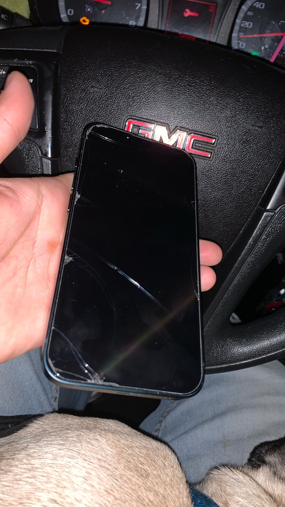 iPhone 13