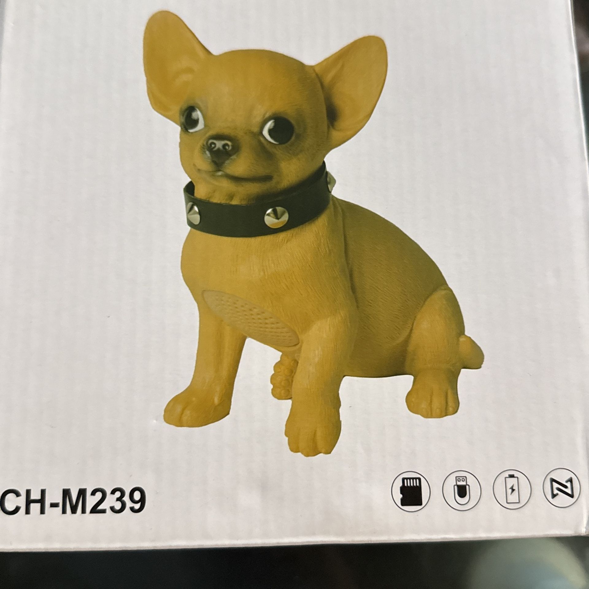speaker chihuahua