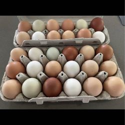 Farm Fresh Eggs