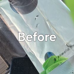 Windshield Chip Crack