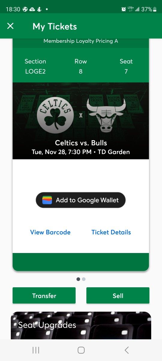 Celtics Ticket