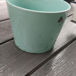 Plant Pot