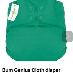Bum Genius Cloth Diaper Bundle