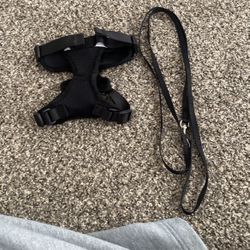 Cat Harness + Leash 