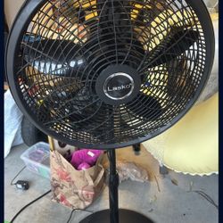 Fan 